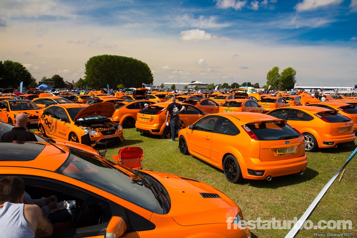 A Sea of Orange