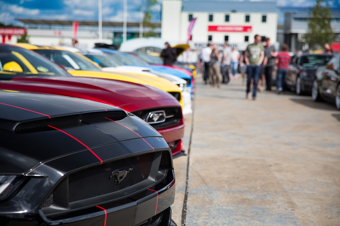 Many Mustangs
